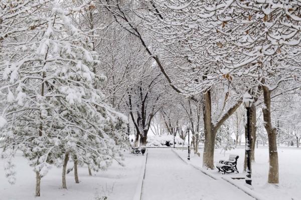 Завтра в Азербайджане ожидается снег