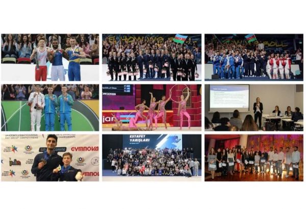 Azərbaycan gimnastları 2019-cu ildə - YEKUNLAR