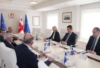 Президент SOCAR встретился с премьер-министром Грузии (ФОТО)