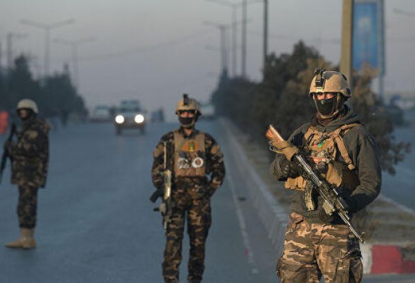 Минобороны Афганистана сообщило о ликвидации одного из главарей талибов