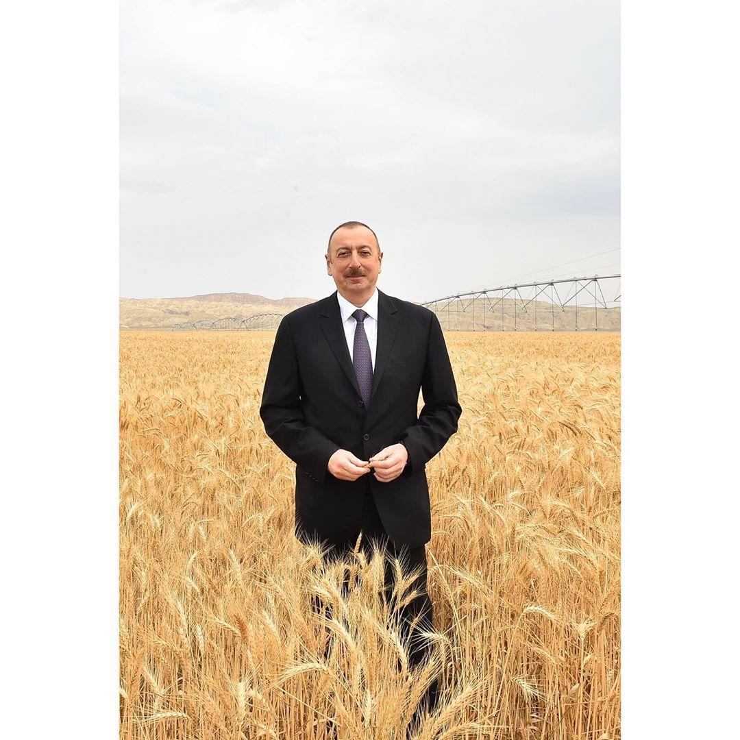 Первый вице-президент Мехрибан Алиева поздравила Президента Ильхама Алиева с днем рождения (ФОТО)