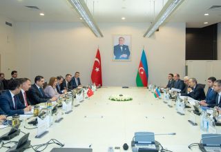 Микаил Джаббаров встретился с министром торговли Турции (ФОТО)