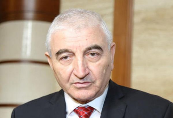 Azerbaijani CEC reviews video footage related to municipal elections