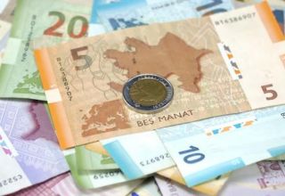 Представительство ВОЗ в Азербайджане о заражении коронавирусом через банкноты и монеты
