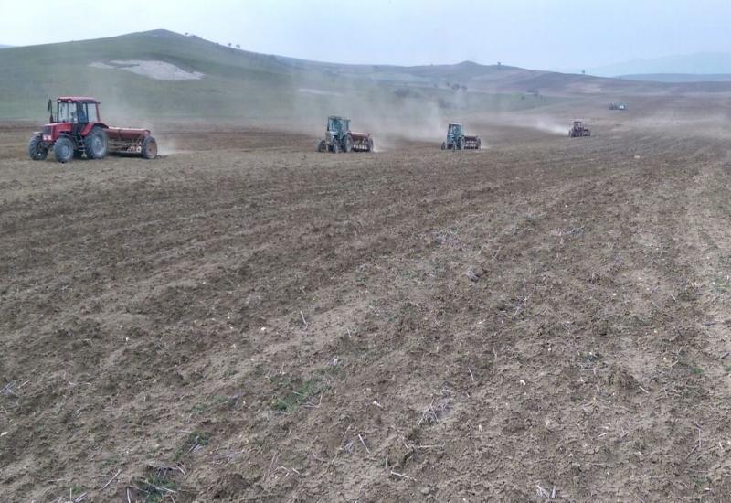 Sowing of winter crops covering over 1 million hectares completes in Azerbaijan