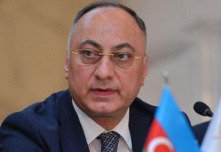 Azerbaijan taking measures to increase export of its products to Hungary - Food Safety Agency