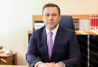 Azerbaijani rep takes high post in Int’l Labor Organization