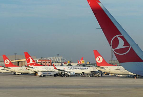 "Турецкие авиалинии" приостановили полеты в Тель-Авив