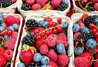Georgia increases export of berries