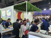 Азербайджан посетили десятки тысяч граждан Индии (ФОТО)