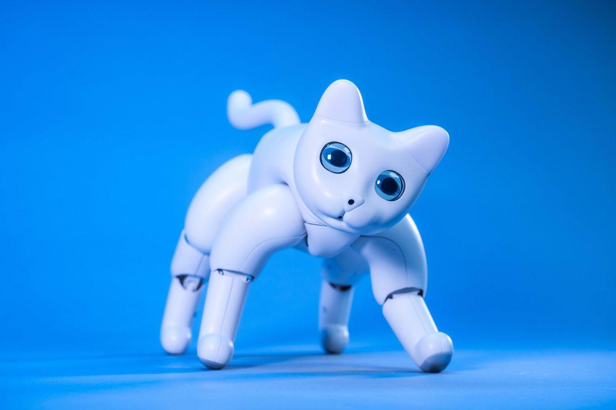 Китайская компания показала кота-робота
