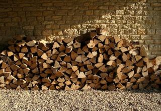 Azerbaijani ministry opens tender to buy wood fuel for schools in Zardab district