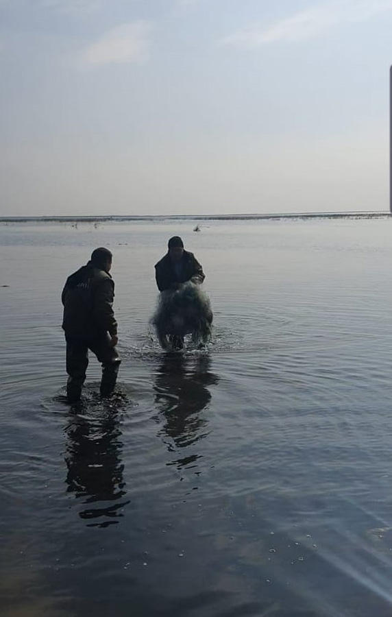 Минэкологии Азербайджана провело рейды в связи с запрещенными средствами рыбной ловли (ФОТО)