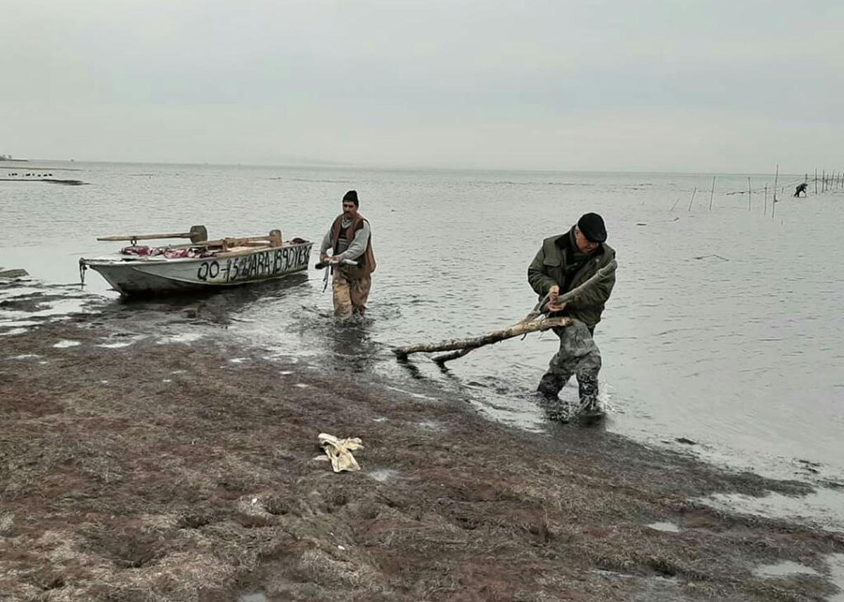 Минэкологии Азербайджана провело рейды в связи с запрещенными средствами рыбной ловли (ФОТО)