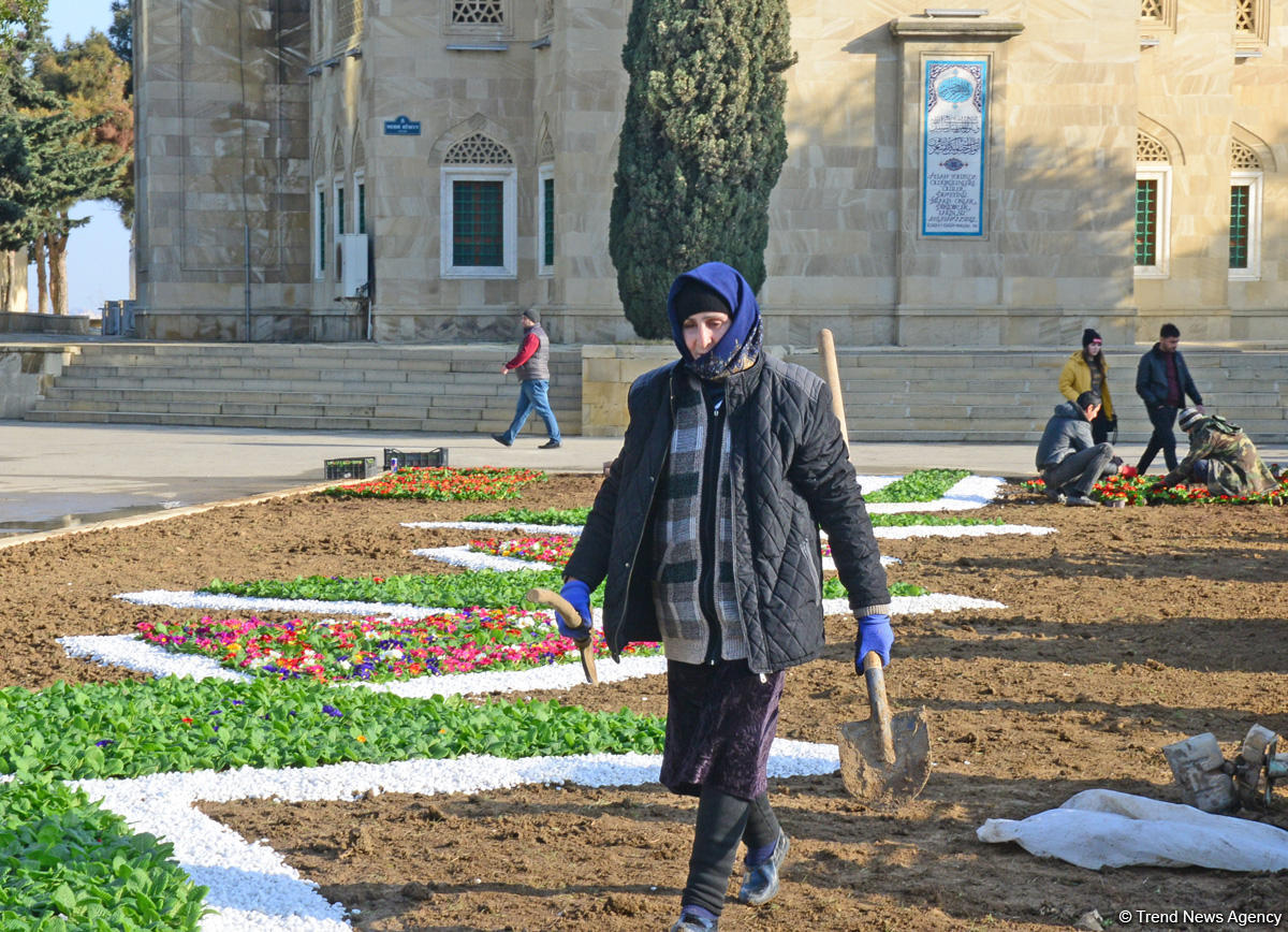 В Аллее шехидов в Баку проводятся подготовительные работы в связи с годовщиной  трагедии 20 Января (ФОТО)