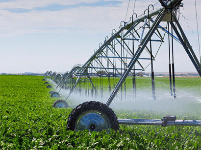 Azerbaijan to introduce modern irrigation systems