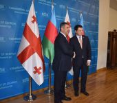 Закир Гасанов встретился с председателем парламента Грузии (ФОТО)