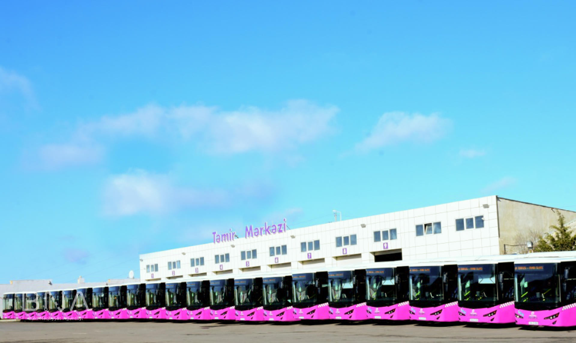 С завтрашнего дня в Баку будет обновлен автобусный парк на одной маршрутной линии (ФОТО)