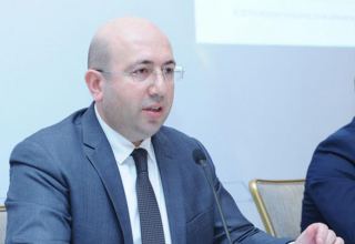 Planning of cities, villages in Azerbaijani Karabakh is almost completed - state committee