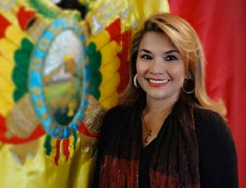 Временный президент Боливии Аньес решила баллотироваться на выборах