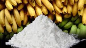 Во Франции продавец фруктов в ящике с бананами нашел кокаин на несколько десятков миллионов евро