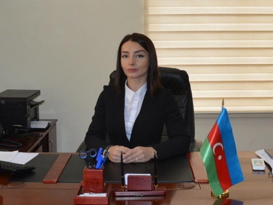Лейла Абдуллаева: Примечательно, что акт вандализма в отношении памятника Хуршудбану Натаван был совершен во время визита премьера Армении в Бельгию (версия 2)