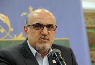 Deputy Minister says Iran's petrochemical plans to be achieved on time