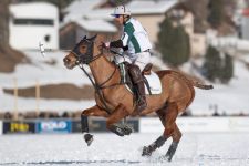 Azərbaycan atları İsveçrə tamaşaçılarını heyran etdi (FOTO)