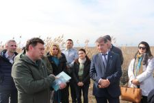 В Азербайджане будет развит туризм, связанный с наблюдением за птицами (ФОТО)