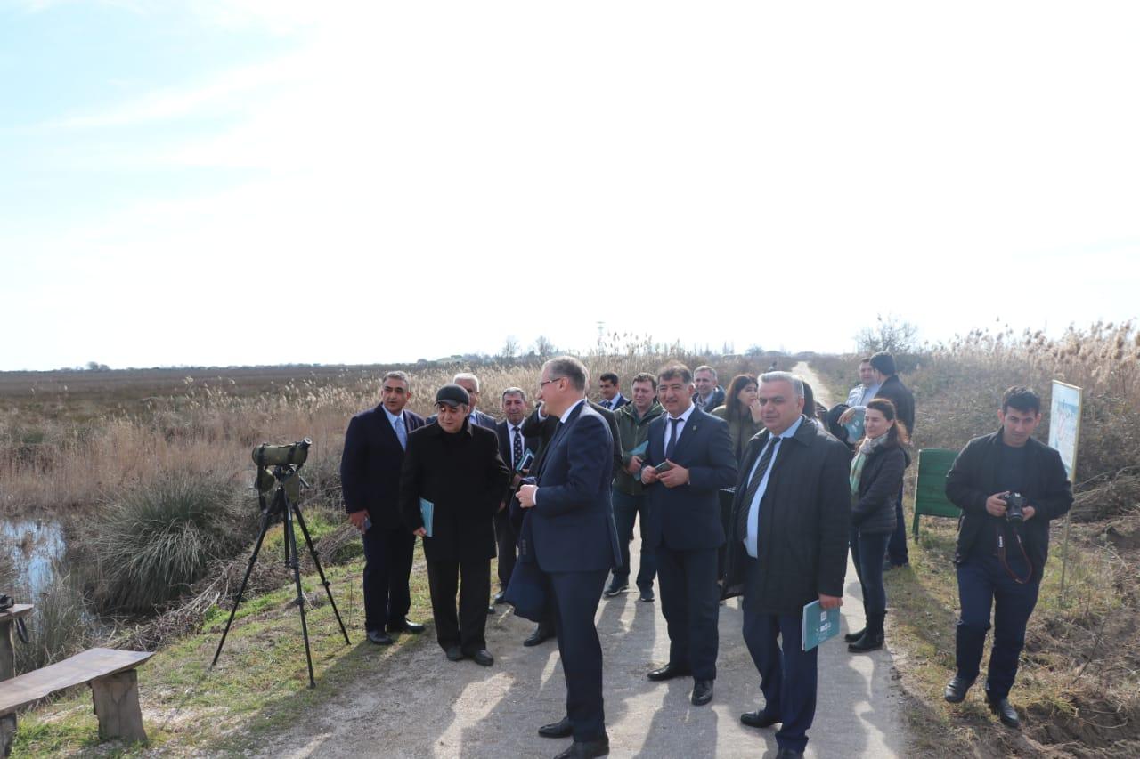 В Азербайджане будет развит туризм, связанный с наблюдением за птицами (ФОТО)