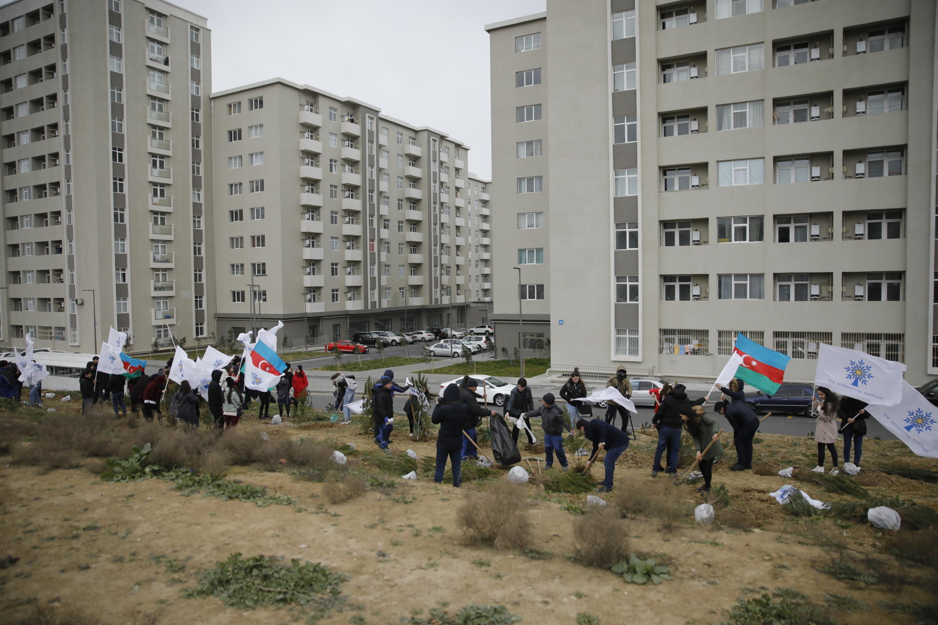 MİDA və YAP Nəsimi Rayon Təşkilatı ağacəkmə aksiyası təşkil etdi (FOTO)