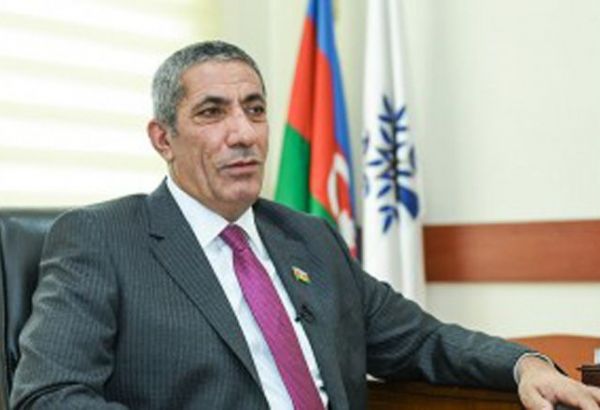 Azerbaijani MP: Adoption of separate bill on municipal elections necessary