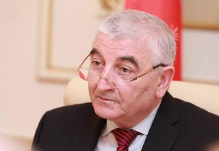 Парламентские выборы стали важным событием в истории Азербайджана - Мазахир Панахов