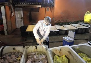 В Азербайджане выявлено незаконно действующее предприятие по переработке куриного мяса (ФОТО)