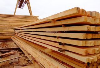 Россия значительно увеличила железнодорожные перевозки древесины через Азербайджан