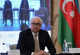 Deputy minister: Azerbaijan done great job in developing digital economy