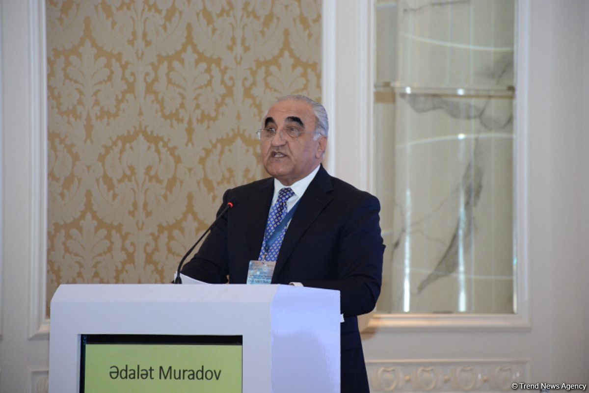 Azerbaijan shows high activity in ensuring digital transformation of its economy