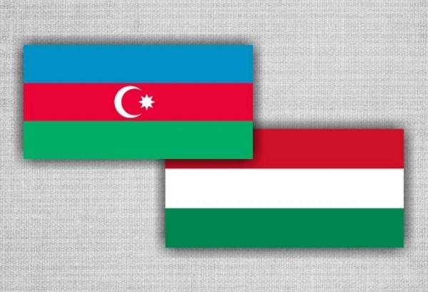 Azərbaycan və Macarıstan energetika sahəsində əməkdaşlığı müzakirə edib