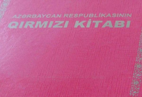 Azerbaijan finishes work on third edition of country's Red Book