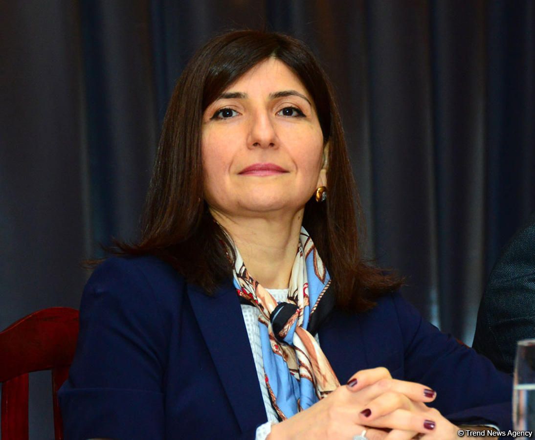 Севиль Микаилова: Азербайджанское государство вновь показало, что в силах оперативно реагировать на любые угрозы (ВИДЕО)
