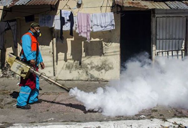 Парламент Парагвая одобрил введение режима ЧС из-за эпидемии денге
