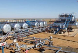 Canadian oil, gas company ready to co-op with Uzbekistan