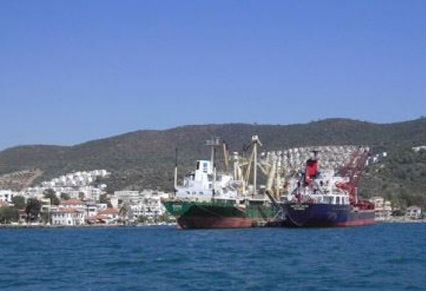Обнародовано количество судов, принятых турецким портом Гюллюк