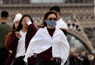 Власти Франции не наблюдают риска передачи человеку вируса гриппа H5N8