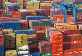 Share of private sector in total Azerbaijani import revealed