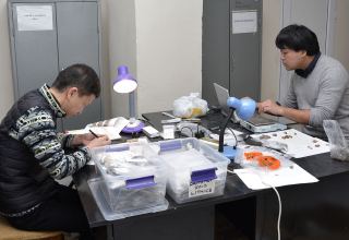 Японские археологи проводят исследования в Азербайджане (ФОТО)