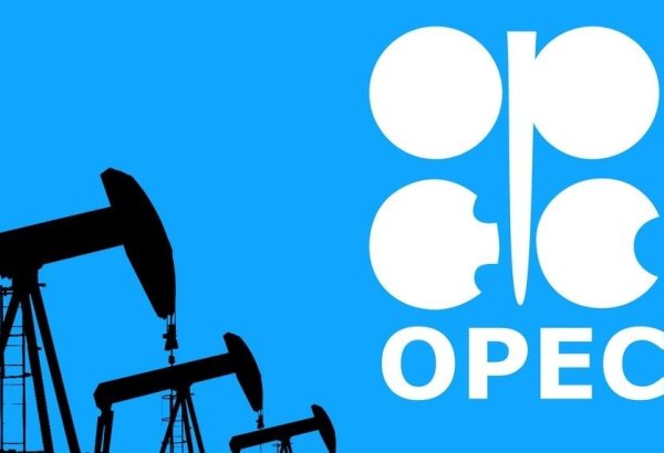 OPEC expects growth in OECD oil production - latest 2023 forecast