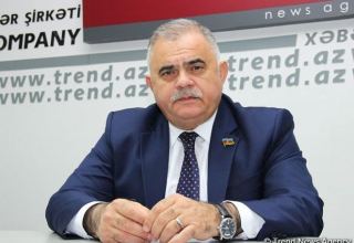 Beynəlxalq təşkilatlar Ermənistanda silahlanmaya vaxtında düzgün qiymət verməyib - Arzu Nağıyev