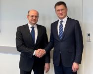 Azerbaijani energy minister holds several important meetings in Vienna (PHOTO)