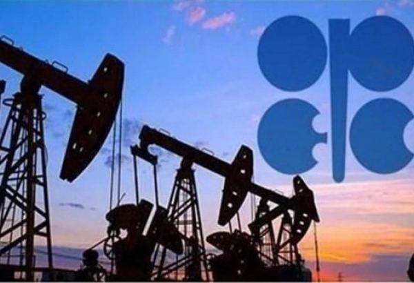 OPEC Azərbaycanda maye karbohidrogen hasilatı ilə bağlı proqnozu azaldıb